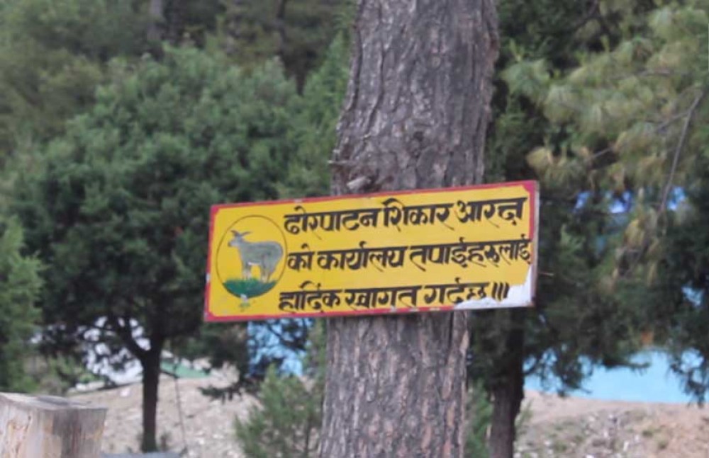 ढोरपाटनमा एक वर्षमा २१ नाउर र ११ झारलको सिकार, चार करोडभन्दा बढी राजस्व - Image 1